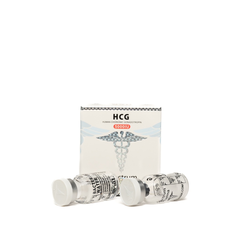 HP-HCG