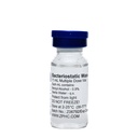 L-GLUTATHIONE(3000MG)