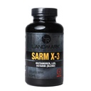 SARM X-3