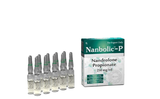 [0500009] NANBOLIC™ - PH - Nandrolone Phenylpropionate  - 100 MG/ML - 10 X 1 ML AMPULE - COPER